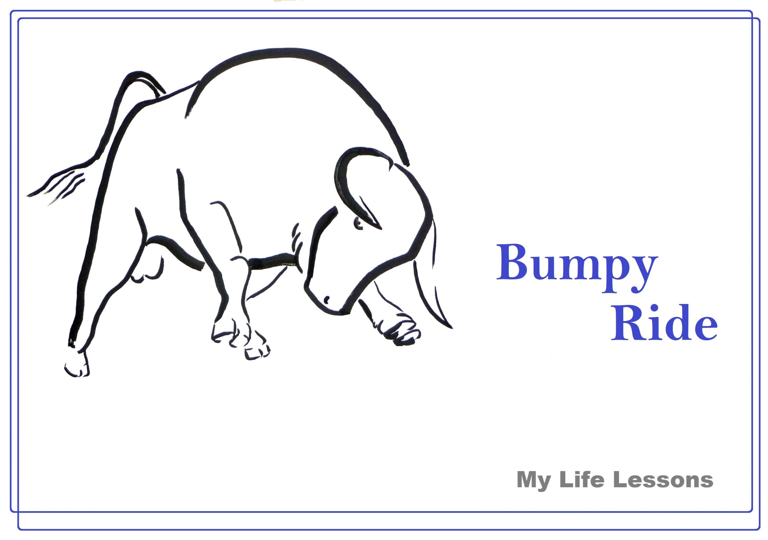 Bumpy Ride My Life Lesson